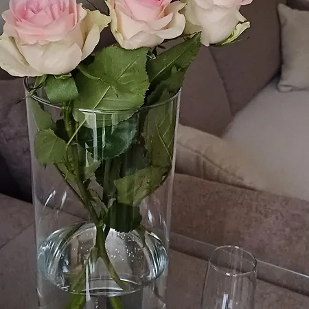 Apartamento Sweet In Trieste